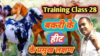 Bakri Ke Heat Ke Pramukh Lakshan |Training Class 28|Vimal Umrao Training Videos |