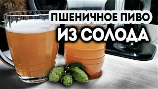 Домашнее пшеничное пиво с хмелем Hallertau Tradition на пивоварни без автоматики