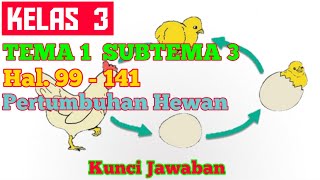 Kunci Jawaban Tematik Kelas 3 Tema 1 Subtema 3 Pembelajaran 1 - 6 Kurikulum 2013 Revisi 2018