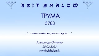 ТРУМА 5783. "...огонь испытает дело каждого..." (Александр Огиенко 25.02.2023)