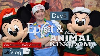 November Vlog #6 - Epcot's Festival of the Holidays & Mickey and Minnie at Animal Kingdom