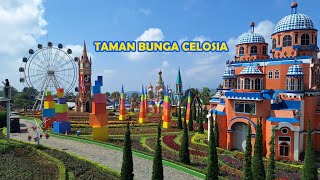 Taman Bunga Celosia - Taman Bunga Semarang - Taman Bunga Jawa Tengah