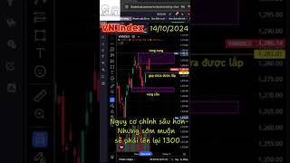 VN Index | 14/10/2024 | Có thể chỉnh sâu hơn nhưng sẽ sớm vượt 1300