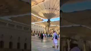 Madine ka musafir | #haram #madinah #tawafkaaba #masjidnabawi #trending #viralshort #uae @MereRaza