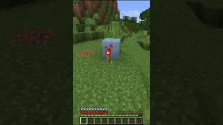 Redstone Torches Are The Only Light Source That Will Not Melt Ice Blocks (Minecraft Fact)