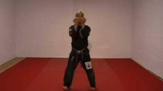 CASA DE KENPO - AMERICAN KENPO - LONG FORM 3