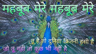 महबूब मेरे महबूब मेरे।तू है तो दुनिया कितनी हंसी है जो तू नहीं तो कुछ नहीं है।