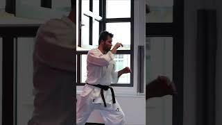 Kurze Kyokushin Karate Demonstration