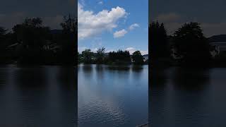 💧🏞️💧Transverzal view of Koseze Lake / Prečni pogled na Koseški bajer 💧🏞️💧