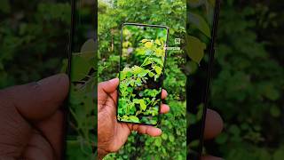 Vivo t2 Pro 5G Short 🔥🤯 64MP camera test #ytshorts #shorts