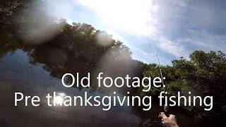 Late fall inshore Tampa Bay fishing