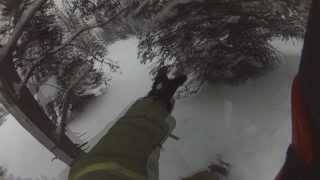 Tree Snowboarding Wipe Outs at Monarch Mountain