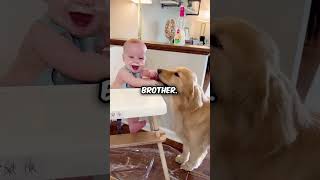 Dog Meets Baby Brother💖