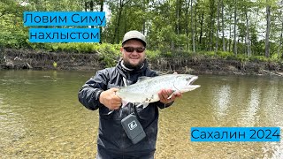 Ловим Симу нахлыстом #сахалин #рыбалка #туризм #fishing #сима #рыба #нахлыст