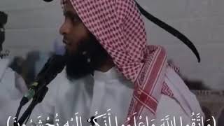 حالات واتس آب دينية "منصور السالمي" واتقوا الله..❤✨