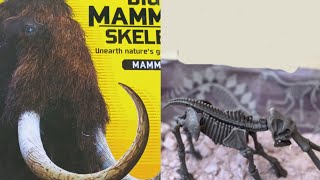 #Dig_a_mammoth_skeleton