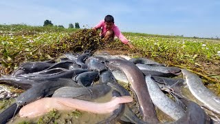 Best hand fishing, Catch a lot of fishing at field