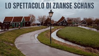 Nei PAESI BASSI c’è un LUOGO PAZZESCO: ZAANSE SCHANS! Tra MULINI, NATURA e ANIMALI #zaanseschans