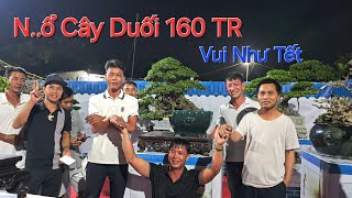 VUI NHƯ TẾT màn BẮN PHÁO HOA rợp trời - N..Ổ CÂY tại sân trưng bày cây cảnh của CLB GIA LÔC .