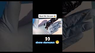 Venom #shorts #video #trend #keşfet #yutube #beniöneçıkar #short #shortvideo #beniöneçıkart #edit