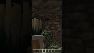 are bchalere #shorts funny #minecraft #viralshort