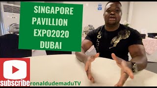 SINGAPORE PAVILION EXPO 2020 #expo2020 #dubaiexpo2020 #singapore