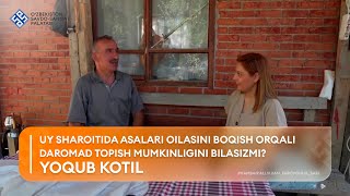 Uy sharoitida asalari oilasini boqish orqali daromad topish mumkinligini bilasizmi?