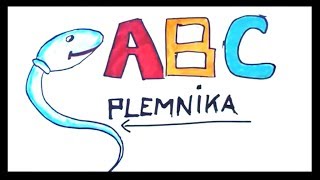 ABC Plemnika