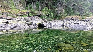 NANAIMO RIVER