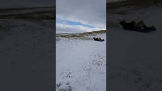 Scott snow sledding