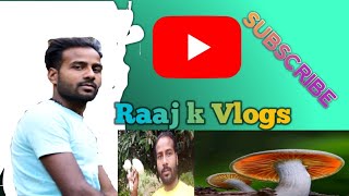 Ham chale masrom uthane/ Raaj k Vlogs