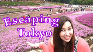 Escaping Tokyo | Adventures in Japan