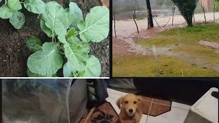 (muita chuva )olha o que aconteceu🤔