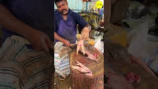 KASIMEDU SPEED SELVAM FISH CUTTING VIDEO / cutting focus #kasimeduselvam #bigfishcutting #bigfish