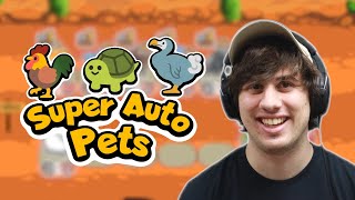 🔴 Among Us and then Super Auto Pets (Beat me for 5000 Onions!) (REAL LIVE STREAM!)