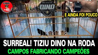 Surreal, Tiziu Dino vem contudo nessa temporada. Veja ele atuando