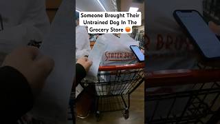 Stop Bringing Your Dogs To The Grocery Store #instacart #ev #fooddelivery #service #dog #doordash