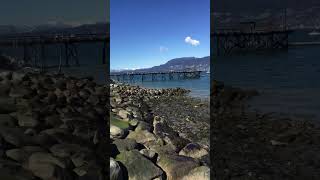 Vancouver news. Today we are at Kits Beach. Kitsilano Beach, BC