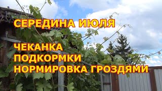 Июль: Подкормки. Чеканка. Нормировка гроздями