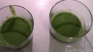 Blendtec vs  Vitamix  In the battle of making a smooethie