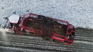 Экстремальная зимняя уборка сахарной свеклы Holmer Ropa Grimme extreme winter harvesting sugar beet