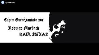 Capim Guiné Raul Seixas - Cantada por Rodrigo Murbach - Incrível