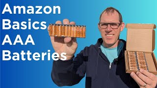 Amazon Basics AAA Batteries work in a Garage Door Opener