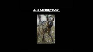 извините за плохое качество #tiktok #квадробика #квд