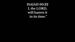 Trust God's Timing, He is Always on Time