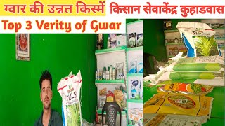 ग्वार की उन्नत किस्में।Top 3 Verity of Gwar ।Guwar ki top Verity of 2024 । Seed treatment of Guwar।