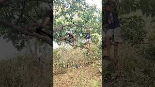 wild double catching jungle VFX funny angry movement😱#wildlife #youtubeshorts #animals #viral#shorts