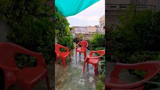 Beautiful weather in my Garden #viralvideo #gardenista#beautiful #viralvideo #beauty