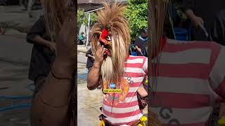 🔴 GANONG GEMOY & JARAN AYU..JOGET ASIK💥ki ROGO KESUMO‼️#viral #trending #shortsvideo #shorts #reog