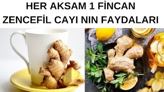 Akşamları 1 Fincan Zencefil Çayı Vücudunuza Bunları Yapıyor | Zencefil Çayının Faydaları Nelerdir?